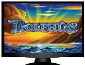 dolphins pokies