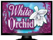 white orchid Pokies Slots